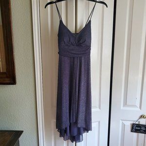 Formal Silver Glitter Spaghetti Strap Dress with Tie in Back